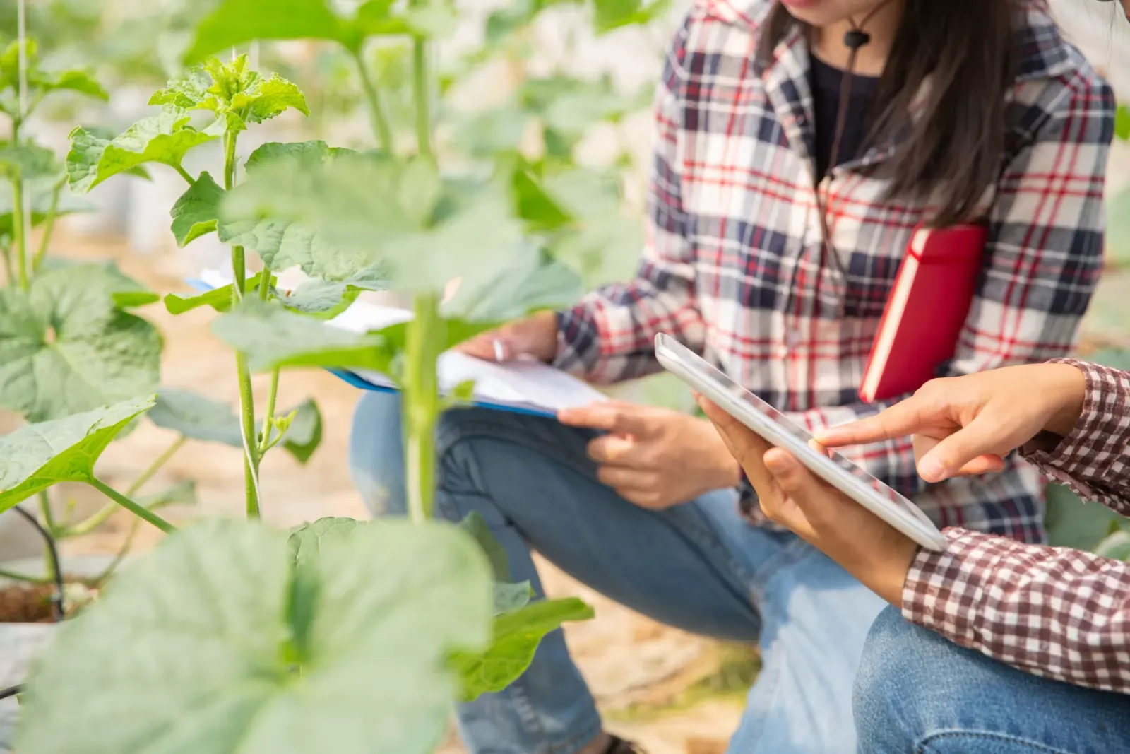 Obavezna izobrazba korisnika izravne potpore u poljoprivredi i IAKS mjera ruralnog razvoja za 2023. godinu