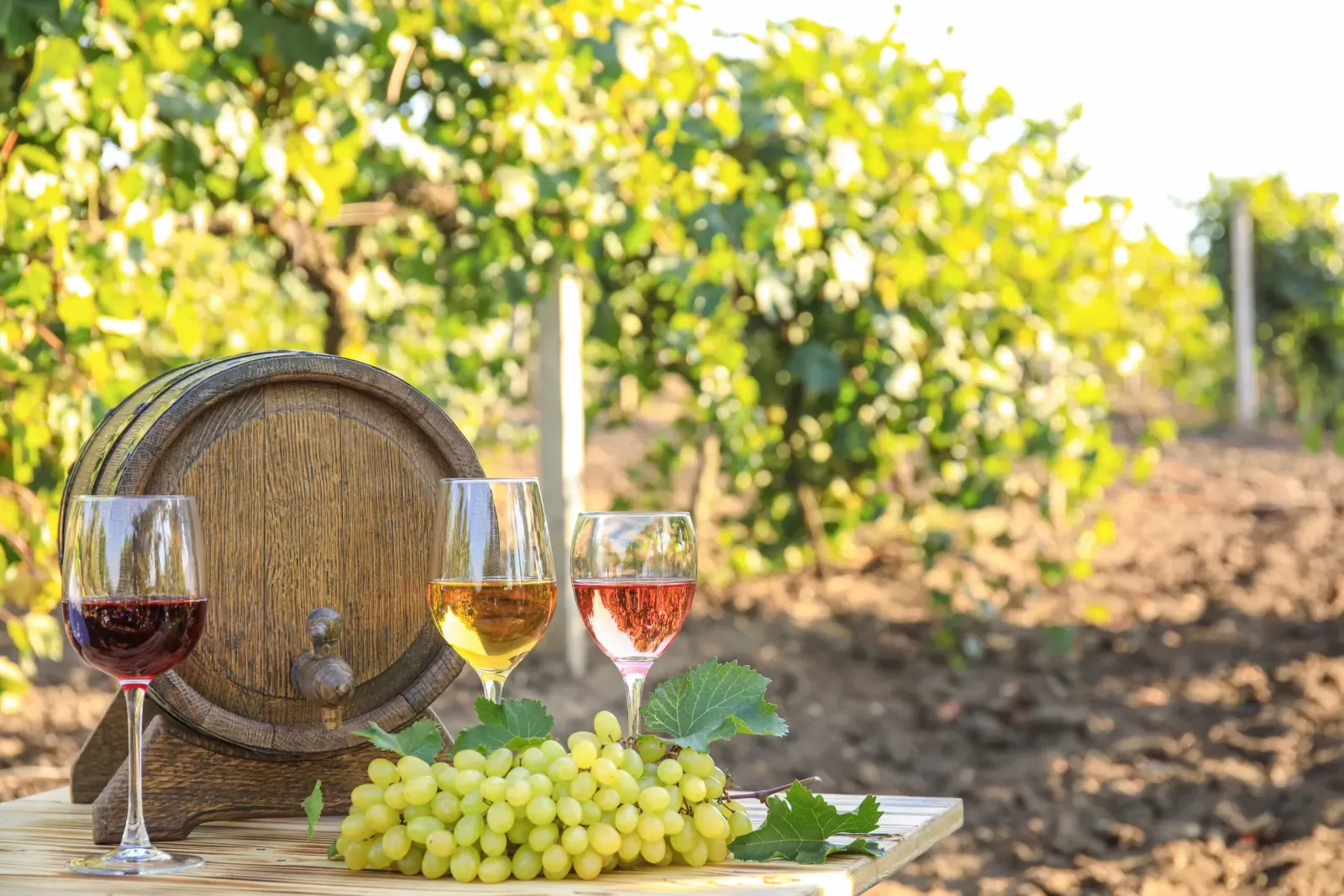 Prve izmjene natječaja za intervenciju 58. 1. b. 01. - Vino - Ulaganja