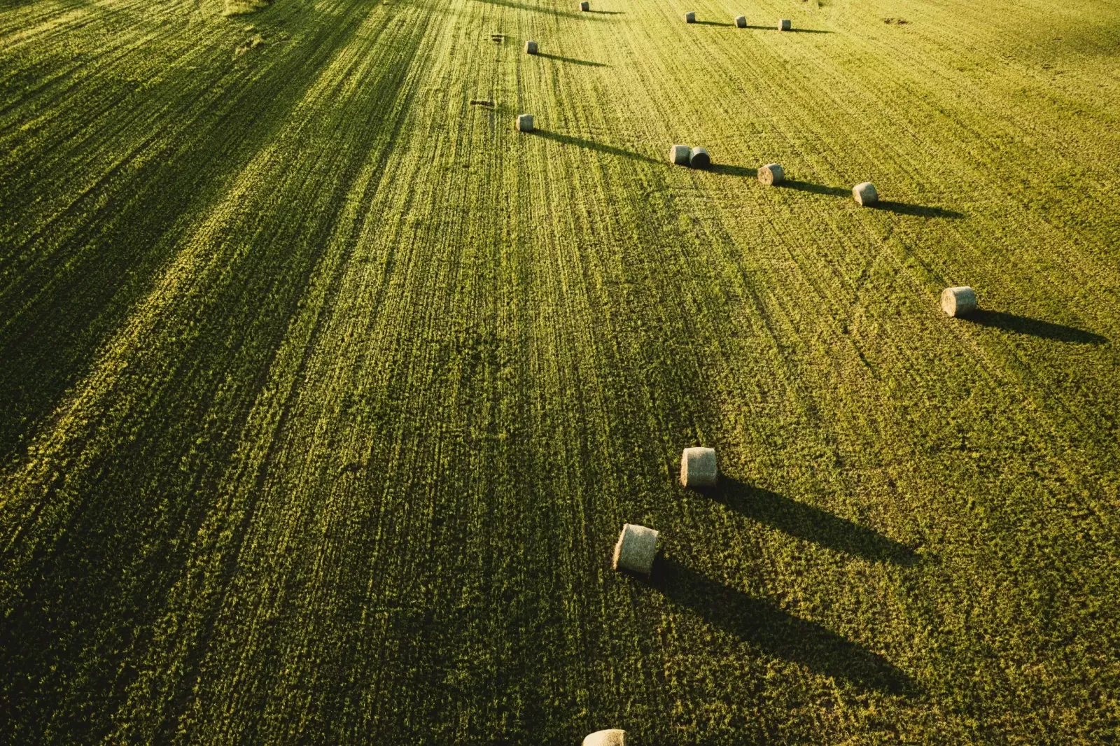 Objavljen Pravilnik o provedbi izravne potpore poljoprivredi i IAKS mjera ruralnog razvoja za 2025. godinu