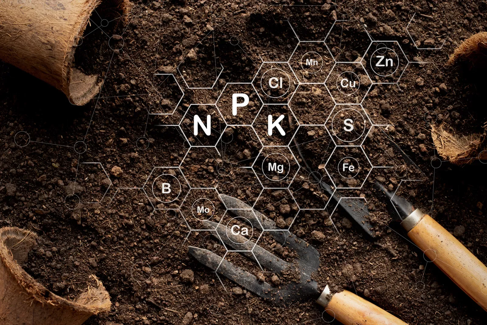 Projekt NOVAFERT