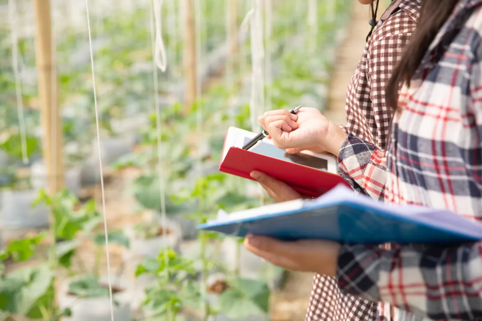 Počelo podnošenje Jedinstvenih zahtjeva za izravne potpore i IAKS mjere