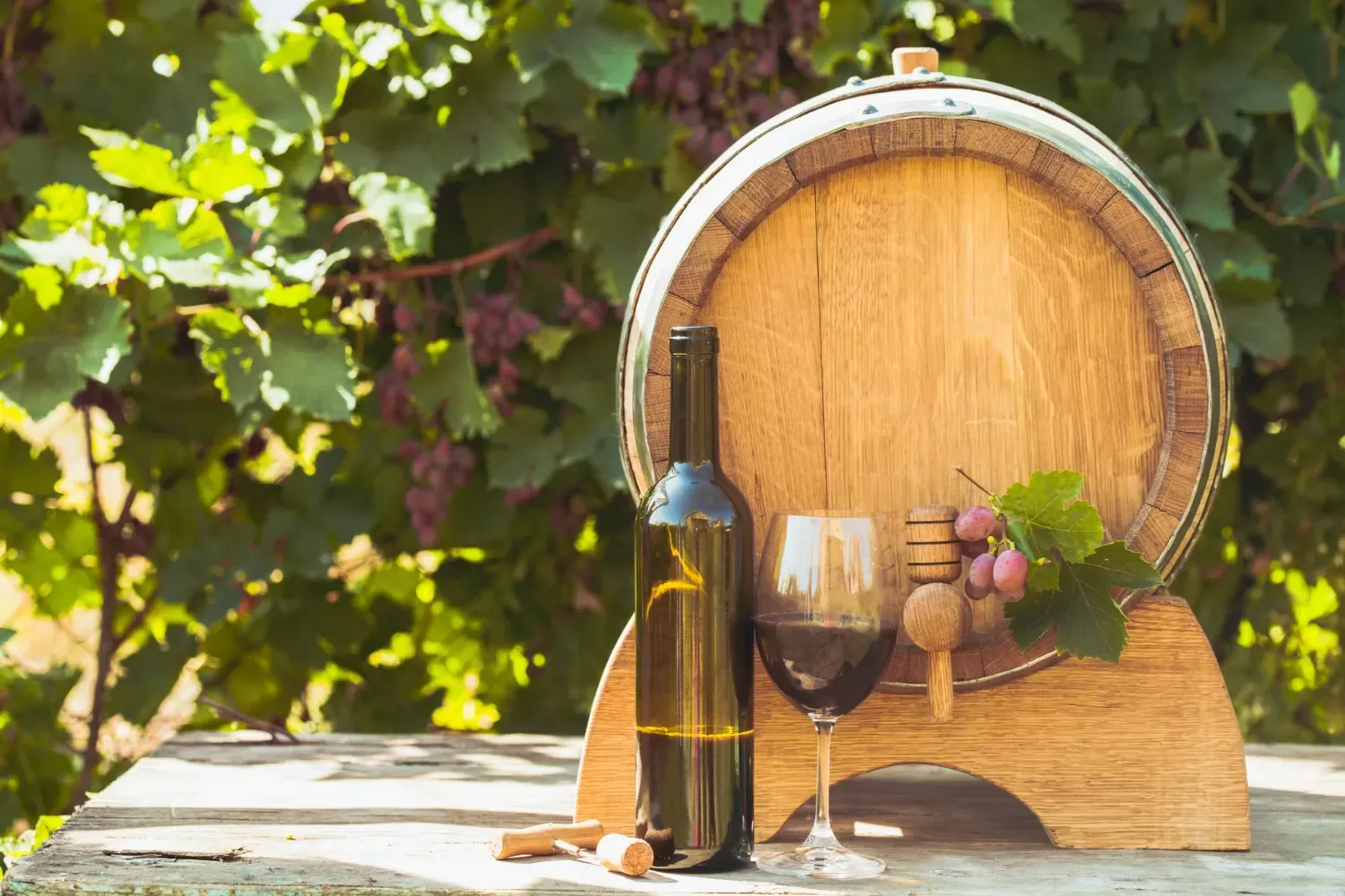 Objavljen drugi natječaj za vinare
