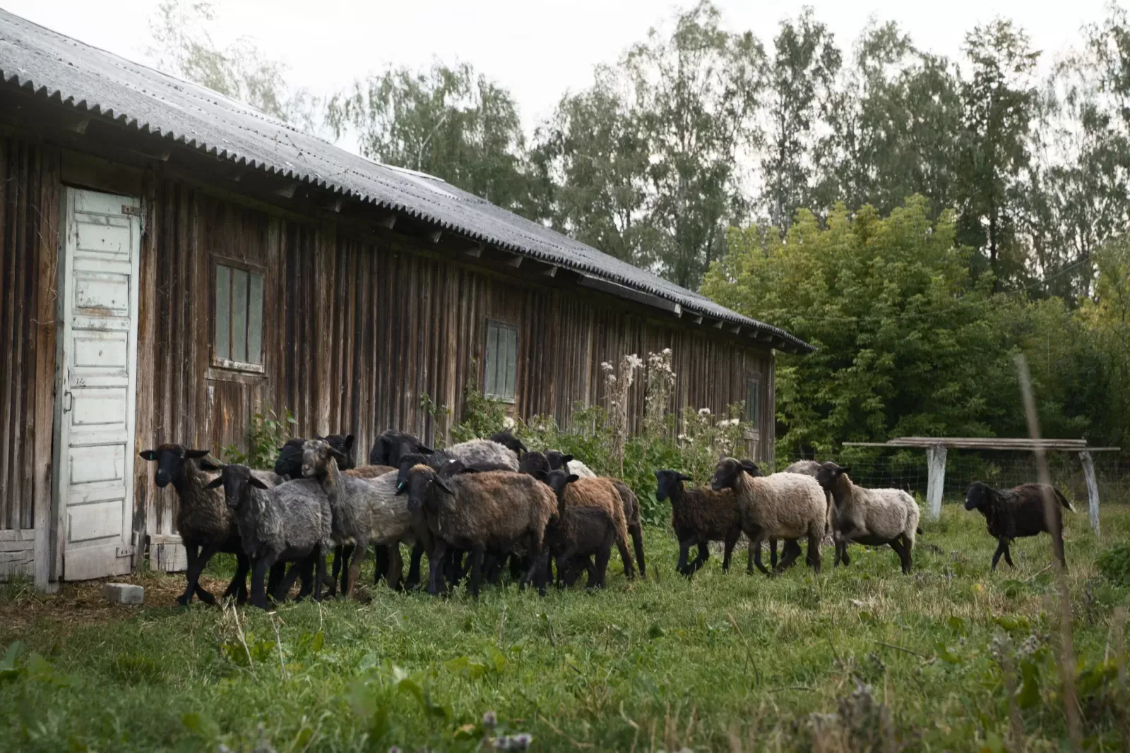 Oživljavanje ruralnih područja kroz kratke lance opskrbe