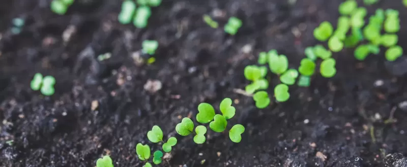 Projekt FERTIMANURE