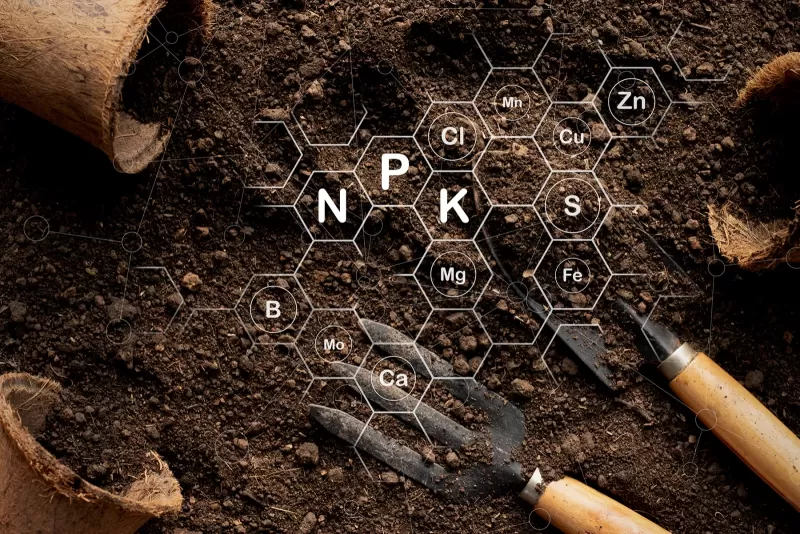 Projekt NOVAFERT