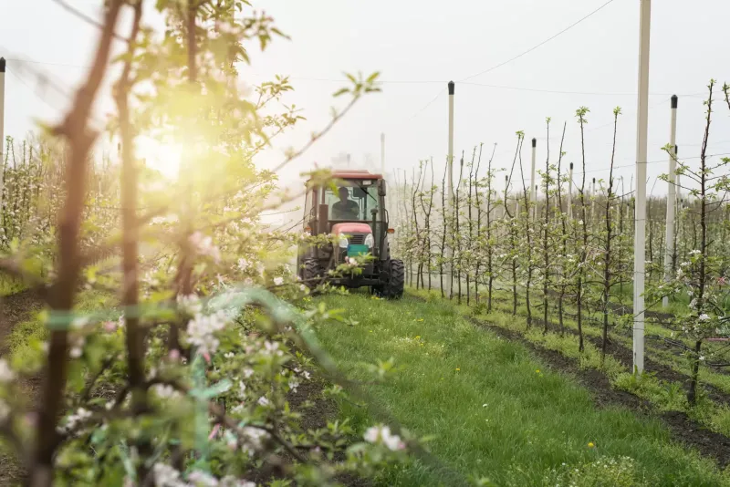 Potvrde za uporabu pesticida stupaju na snagu u travnju ove godine
