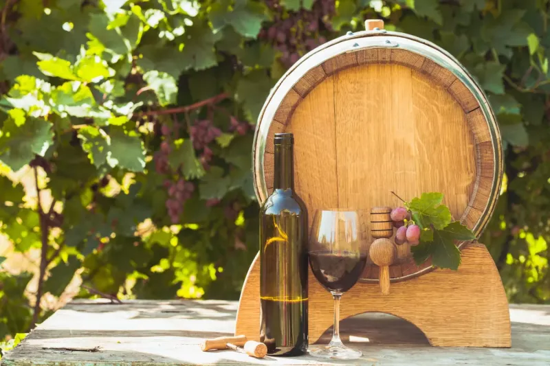 Objavljen drugi natječaj za vinare