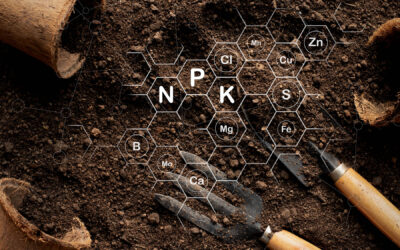 Inovativna proizvodnja bio-gnojiva – primjer iz Nizozemske