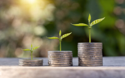 Profitabilne kulture – što se isplati uzgajati?