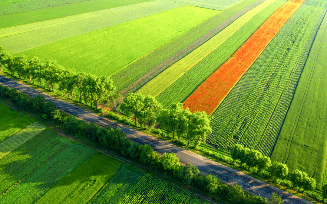 Uskoro se otvara RuralFoto natječaj