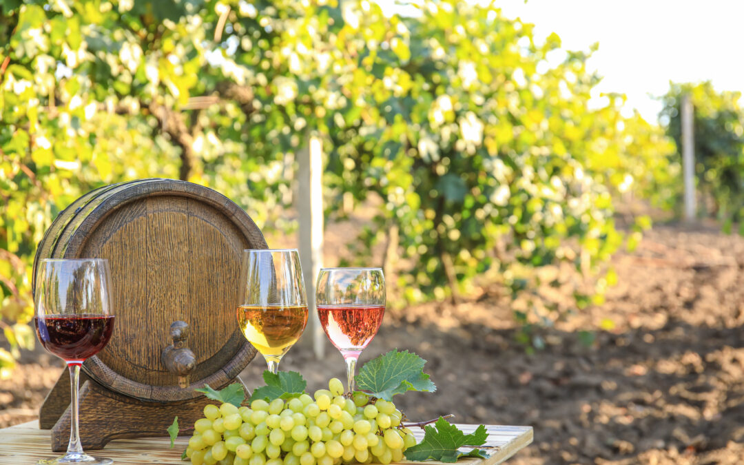 Prve izmjene natječaja za intervenciju 58. 1. b. 01. – Vino – Ulaganja
