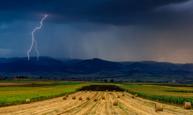 Objavljen natječaj za obnovu poljoprivrednog potencijala