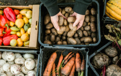 Od OPG-a do naših tanjura: kratki lanci opskrbe hranom u Hrvatskoj